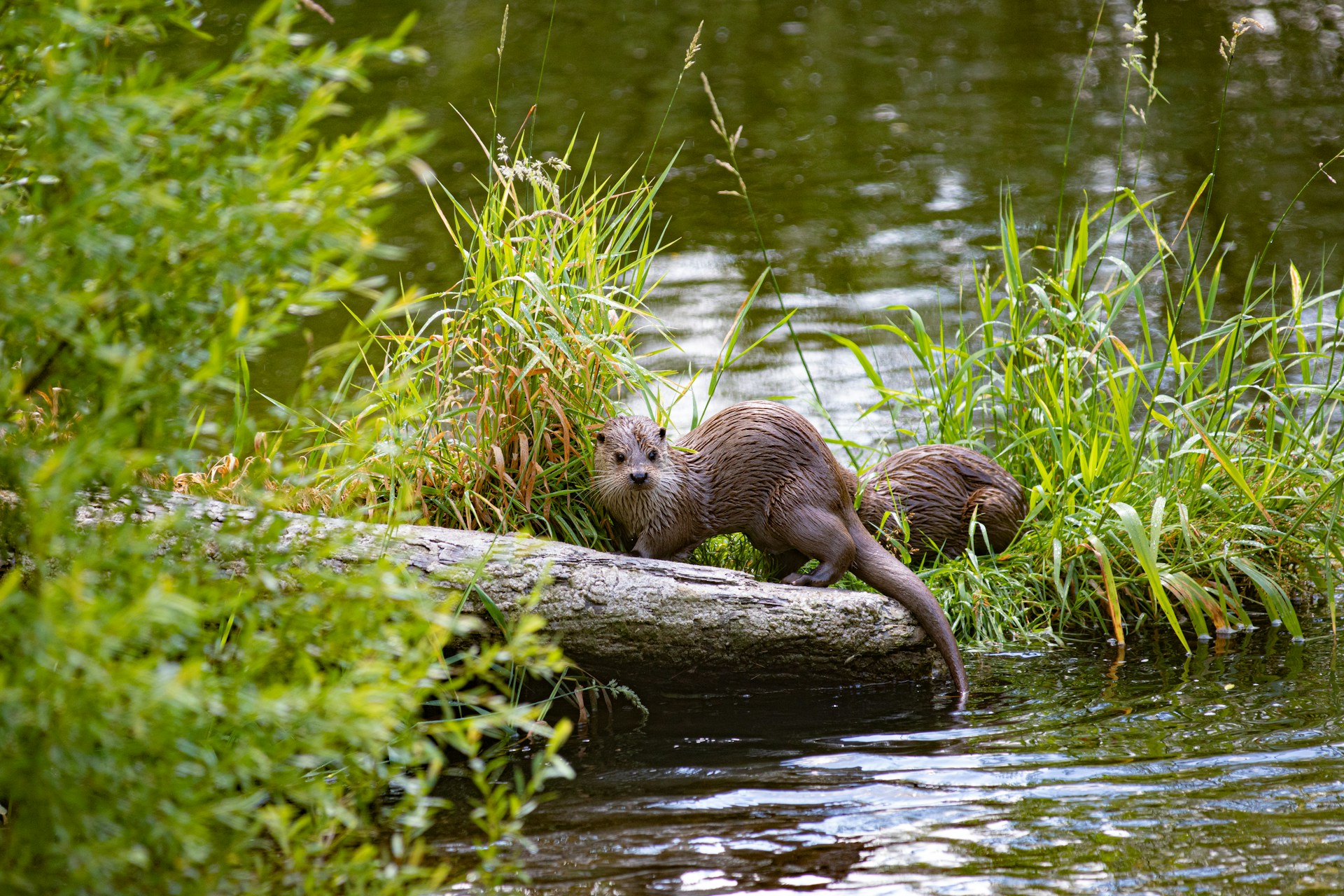 andreas-schantl-5rU-lEyav78-unsplash