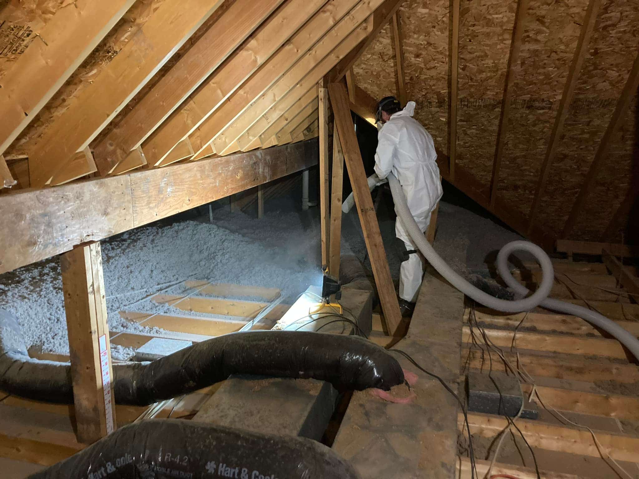 new insulation after bat removal central missouri
