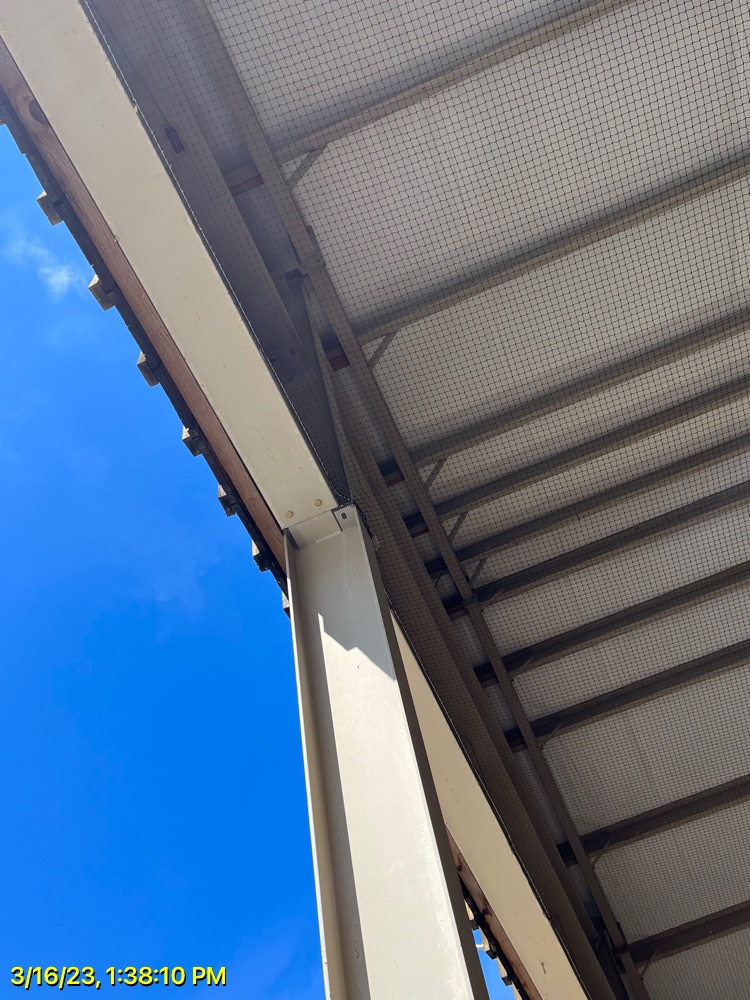 Installed bird netting