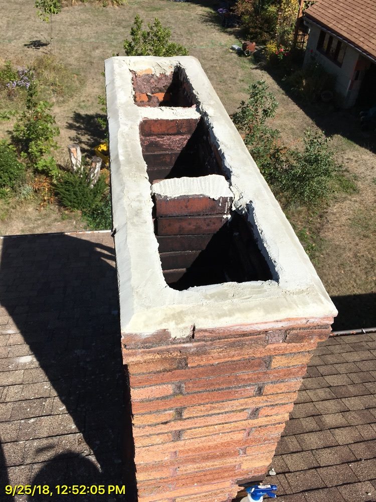 Squirrel in Chimney Removal