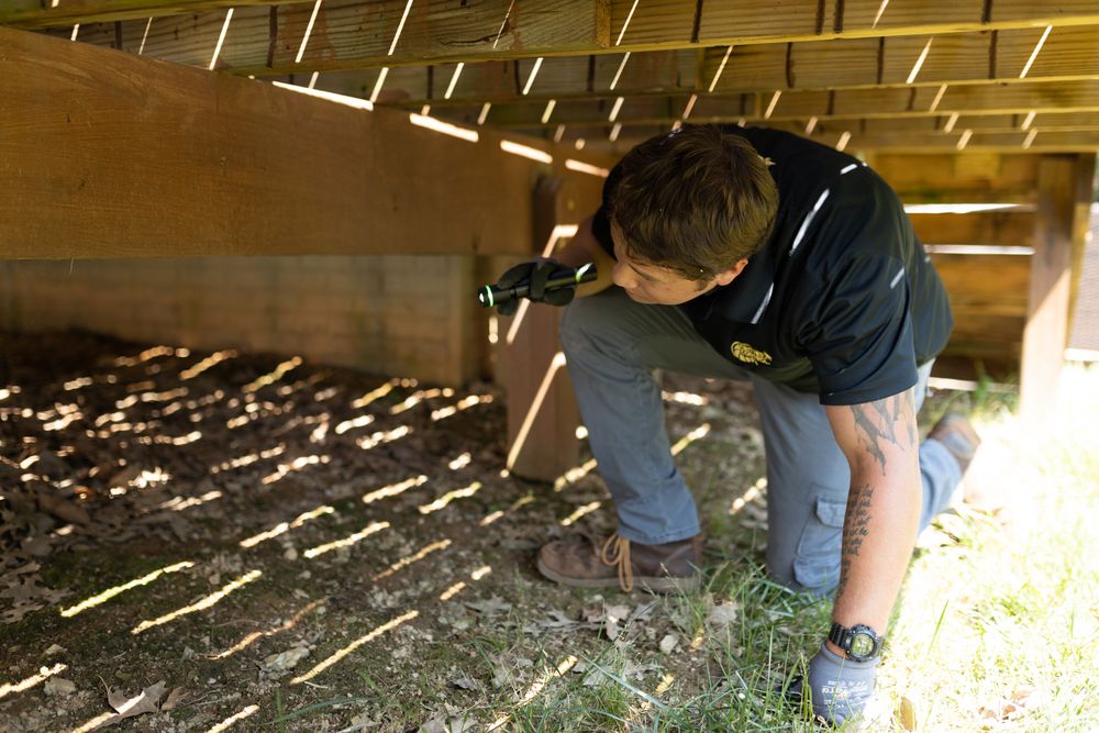 Critter Control under porch