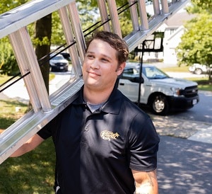 Wildlife Removal in Arvada
