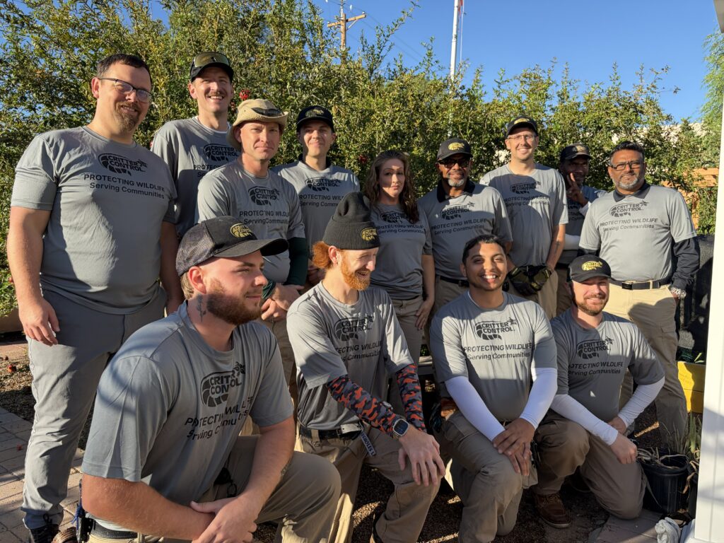 team photo keep phoenix beautiful