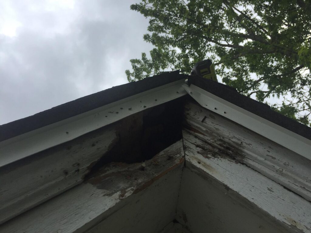 Squirrel damage in springfield, IL
