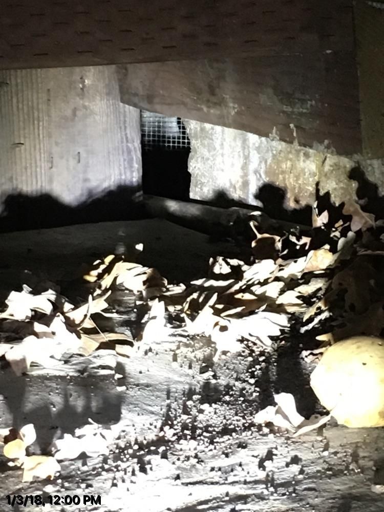 An opossum entry point under a house 