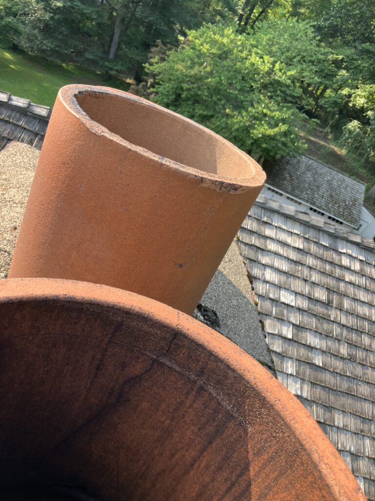 Chimney swift droppings philly