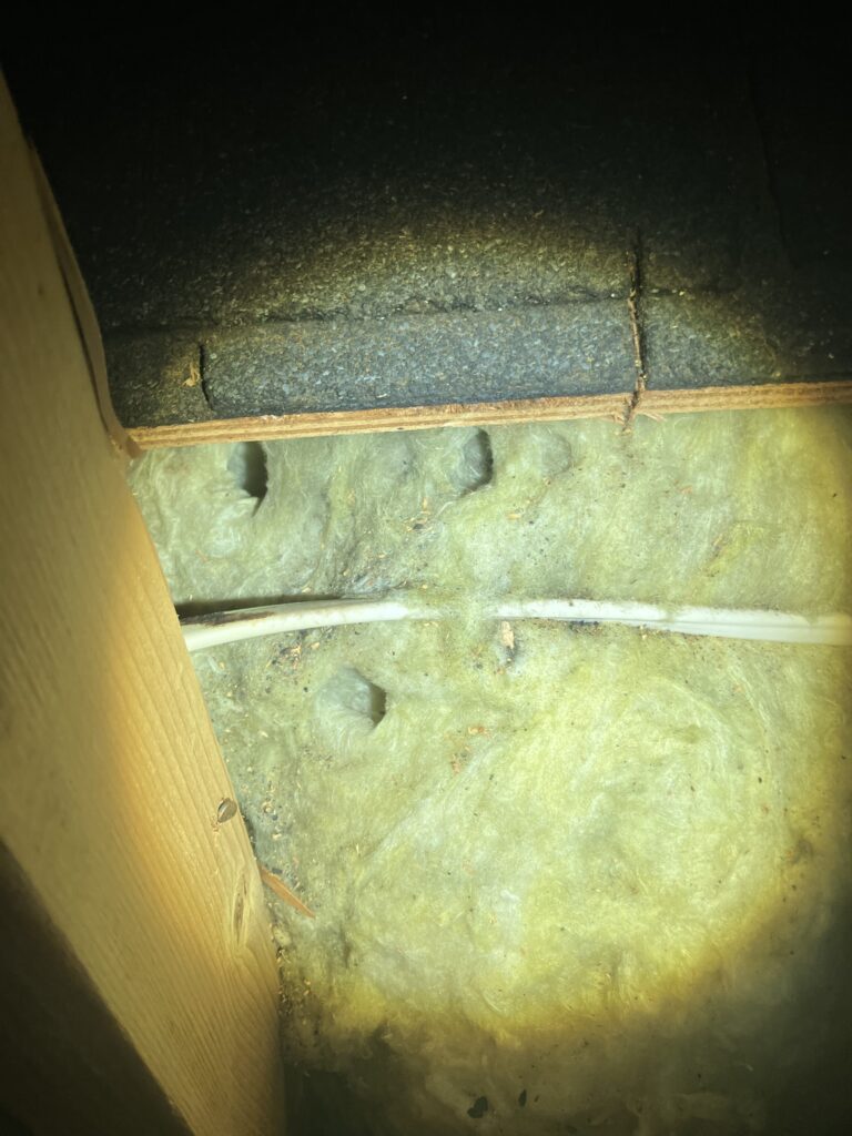 Rat Tunnels Insulation