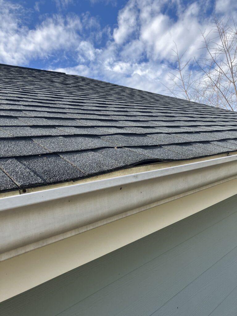 bat entry point fascia board