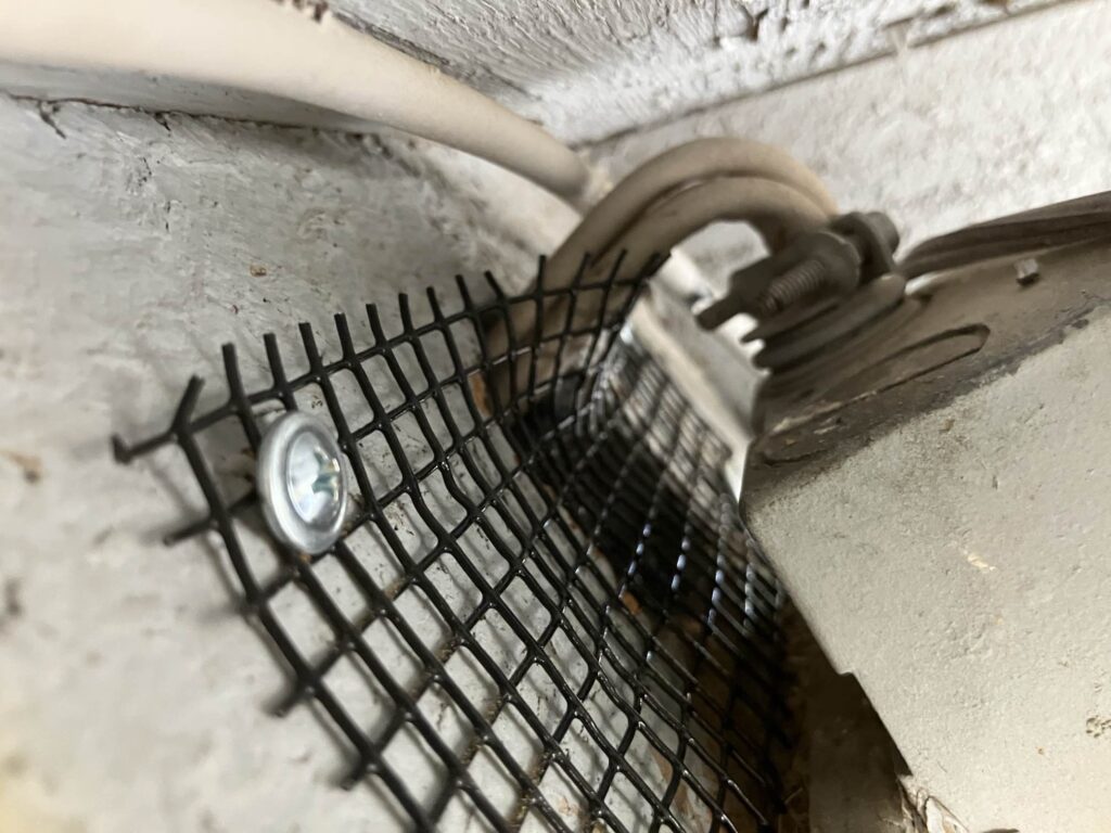 rat hole after exclusion