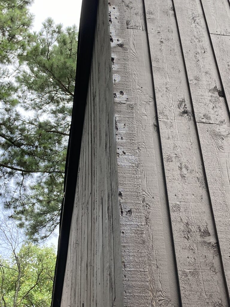 woodpecker damage repair