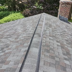 Squirrel Exclusion Repairs