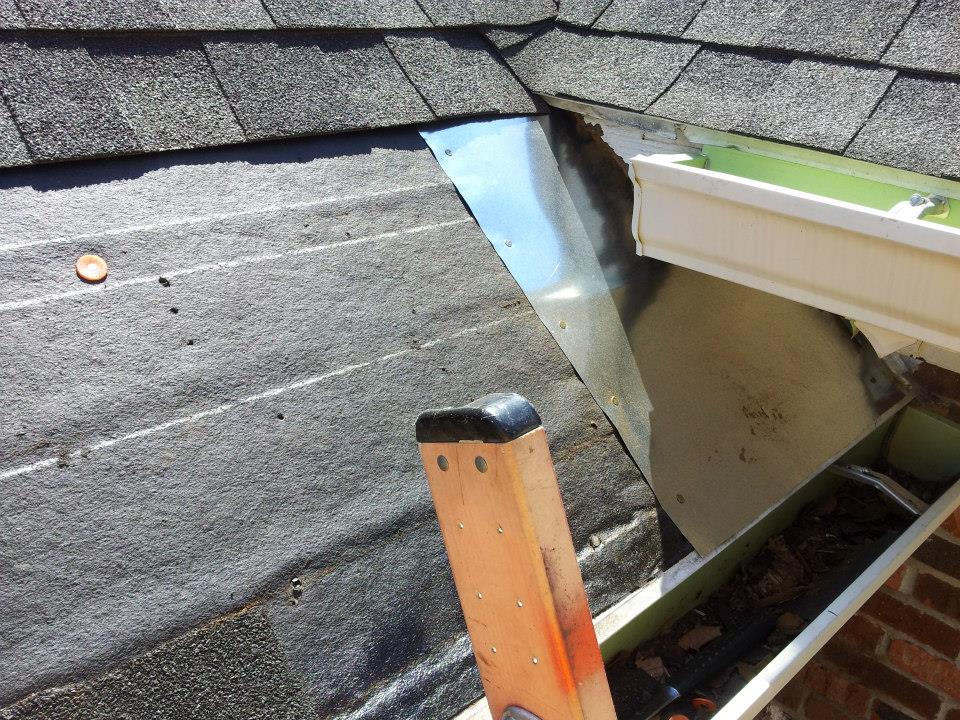 Repairs being done on raccoon damage on a roof