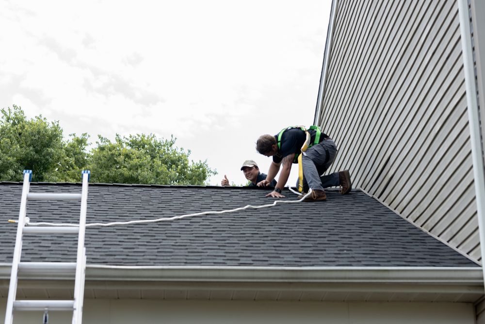 Squirrel Removal in Fort Worth