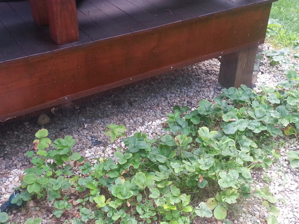 An exclusion net around the base of a porch