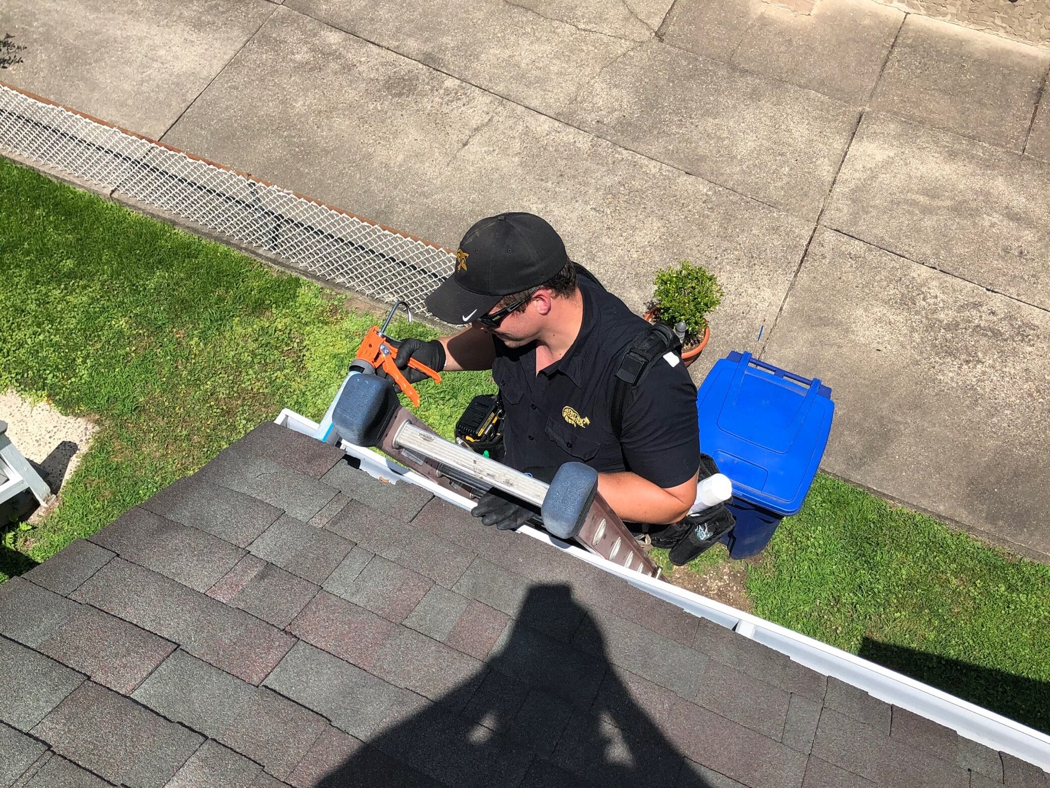 Critter Control Roof Inspection NJ