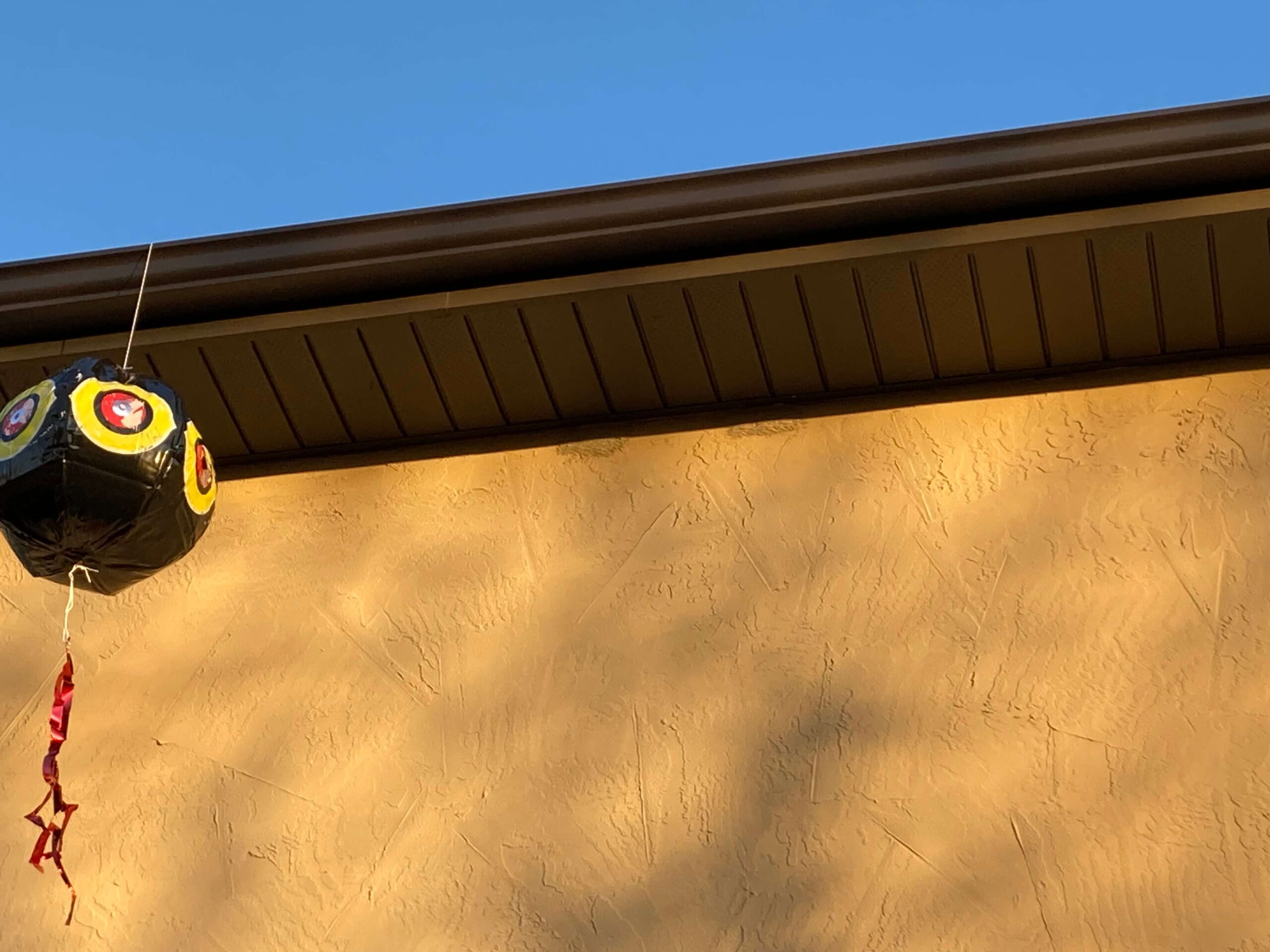 Bird Deterrents & Repellents