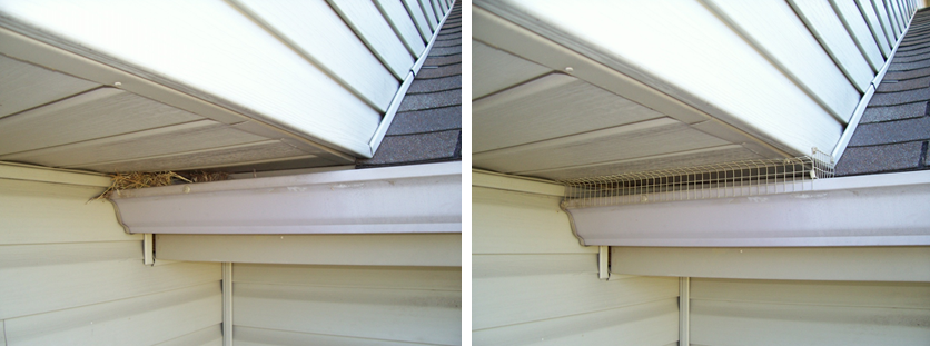 A roof, whose exclusion screening prevents birds from nesting.